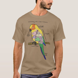 Camiseta Sun Conure Engraçada Anatomia do papagaio de uma c