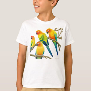 Camiseta Sun Conure repete mecanicamente o t-shirt dos