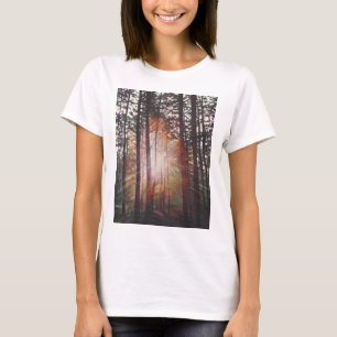 Camiseta Sunburst 2010