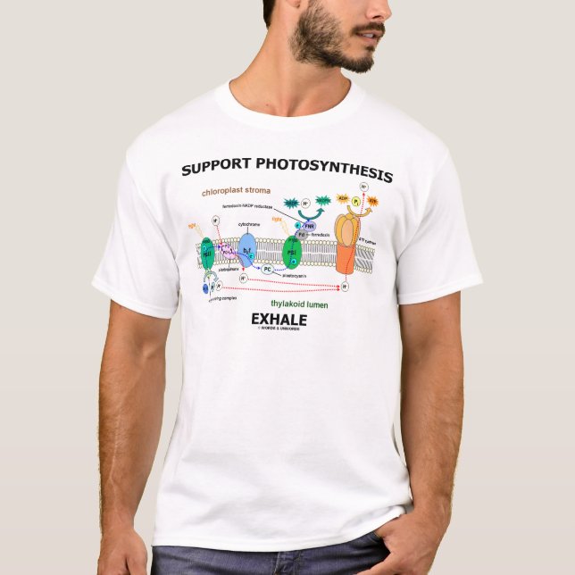 Camiseta Suportar Disposição de Fotossíntese (Humor Bioquím (Frente)