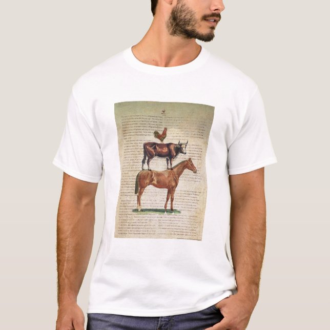 Camiseta Suporte C1.tif da fazenda NOB12 (Frente)