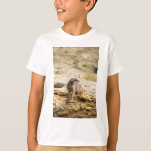 Camiseta Suricata