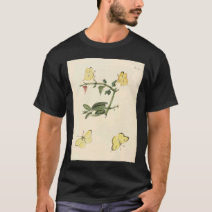 Camiseta Surinaamsche Vlinders Naar Het Leven Geteekend Pap