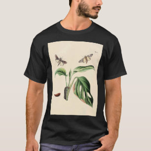 Camiseta Surinaamsche Vlinders Naar Het Leven Geteekend Pap