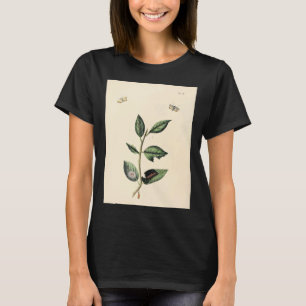 Camiseta Surinaamsche Vlinders Naar Het Leven Geteekend Pap
