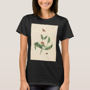 Camiseta Surinaamsche Vlinders Naar Het Leven Geteekend Pap