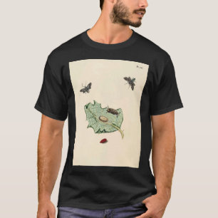 Camiseta Surinaamsche Vlinders Naar Het Leven Geteekend Pap
