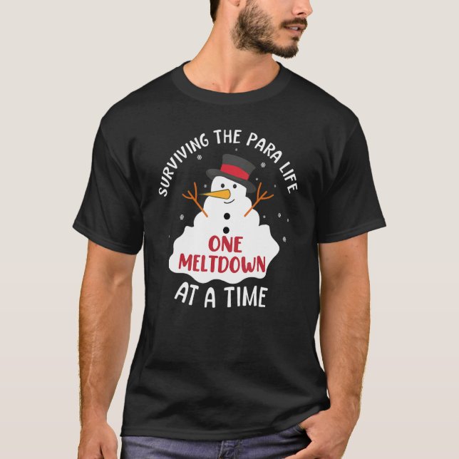 Camiseta Surviving The Paraprofessional Life One Meltdown A (Frente)