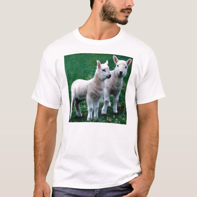 Camiseta Sven & velho (Frente)
