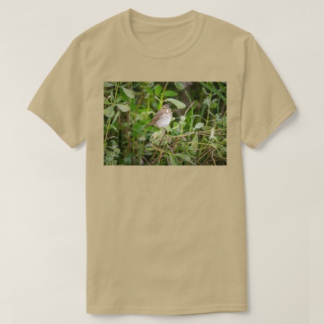 Camiseta Swainsons Thrush (Frente do Design)
