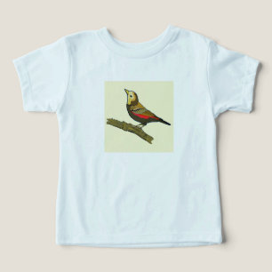 Camiseta Sweet Bird