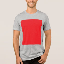 Camiseta-T-blenda-Canvas-Bella-Masculina
