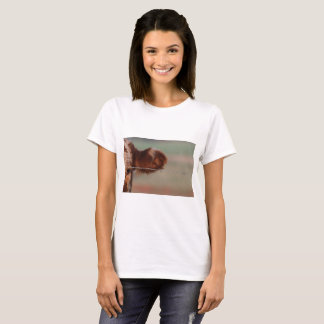 Camiseta T curto do sl, foto para UMA BOA jaqueta do MAMA