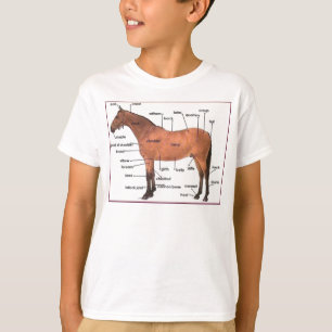 Camiseta T da anatomia do cavalo