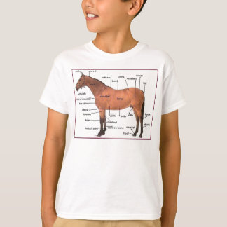Camiseta T da anatomia do cavalo
