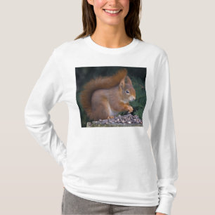 Camiseta T da refeição matinal da porca