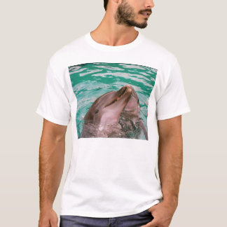 Camiseta T do branco dos golfinhos