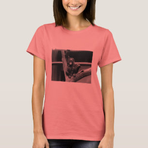 Camiseta T do orangotango