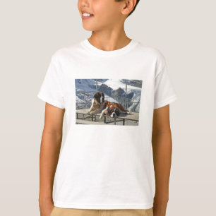Camiseta T do st bernard