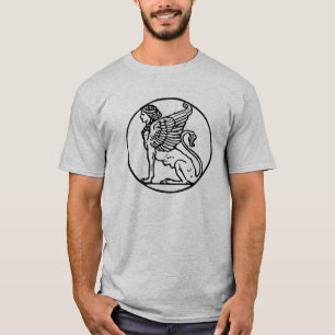 Camiseta T misterioso da esfinge