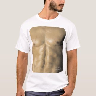 Camiseta T rasgado (obtenha uns seis blocos imediato)