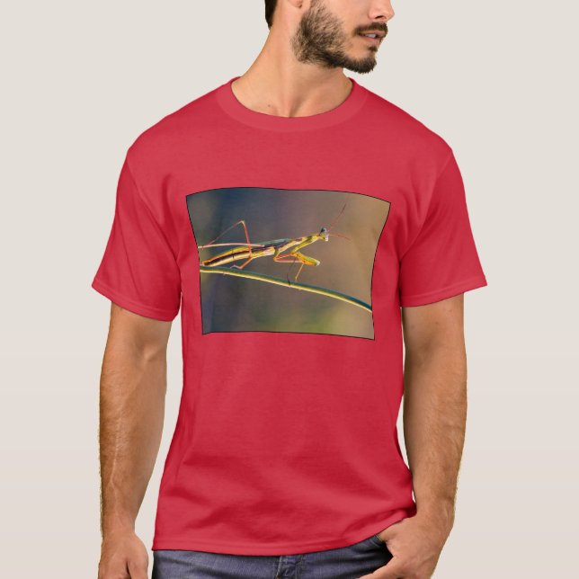 Camiseta T-Shirt (Frente)