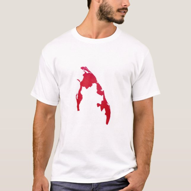 Camiseta T-shirt  (Frente)