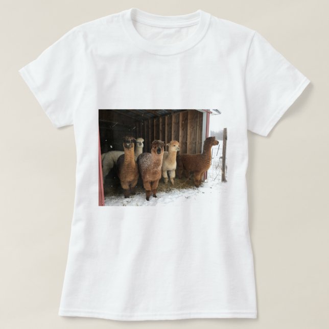 Camiseta T-Shirt - Alpacas na neve (Frente do Design)