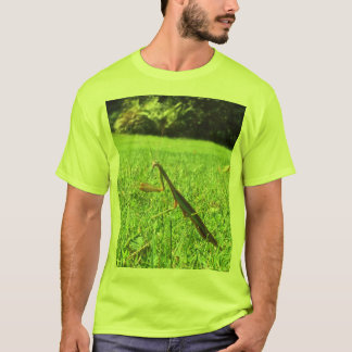 Camiseta T-Shirt aranha-da-floresta