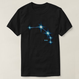 Camiseta T-Shirt Aries Unisex