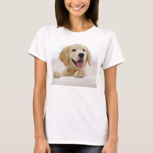 Camiseta t-shirt básica mulher cão golden retriever