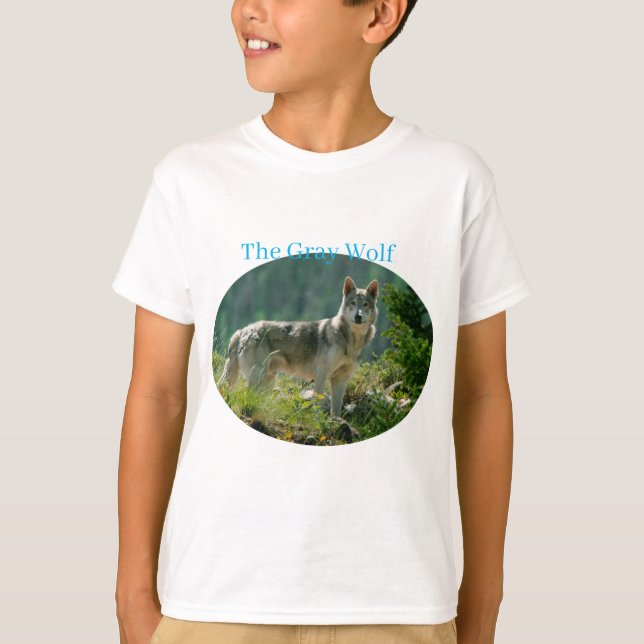 Camiseta T-Shirt Boys (Frente)