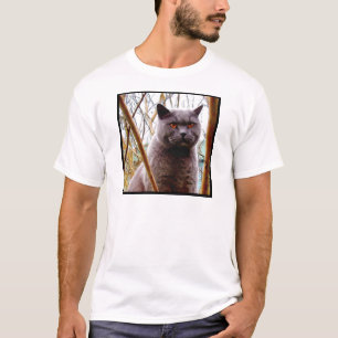 Camiseta T-shirt britânico do gato azul