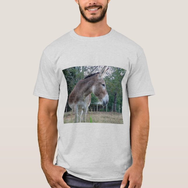 Camiseta T-shirt burra masculina (Frente)