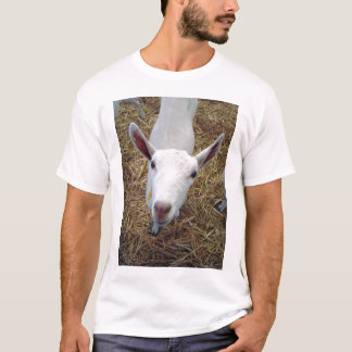 Camiseta t-shirt "Cabra-enfrentado"