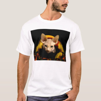 Camiseta T-shirt calvo do gato de Sphynx