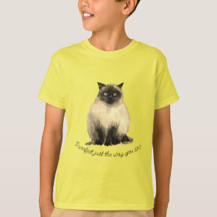 Camiseta T-Shirt com gato de Furto