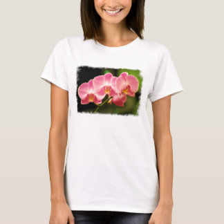 Camiseta T-shirt cor-de-rosa das orquídeas