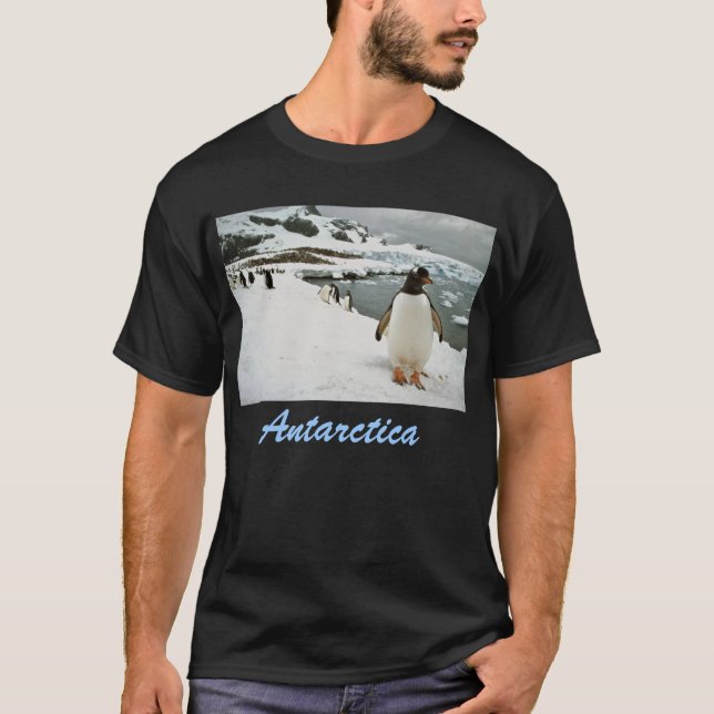 Camiseta T-shirt da Antártica (Frente)