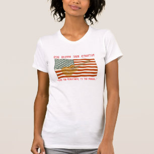 Camiseta T-shirt da guitarra da bandeira americana