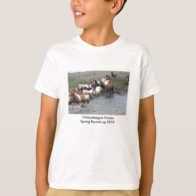 Camiseta T-shirt da juventude dos pôneis de Chincoteague (Frente)