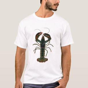 Camiseta T-shirt da lagosta da aguarela