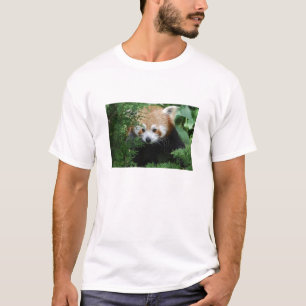 Camiseta T-shirt da panda vermelha