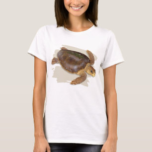 Camiseta T-shirt da tartaruga de mar da boba