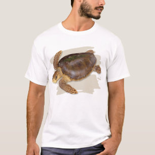 Camiseta T-shirt da tartaruga de mar da boba