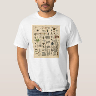 Camiseta T-shirt da taxonomia da entomologia dos insetos do