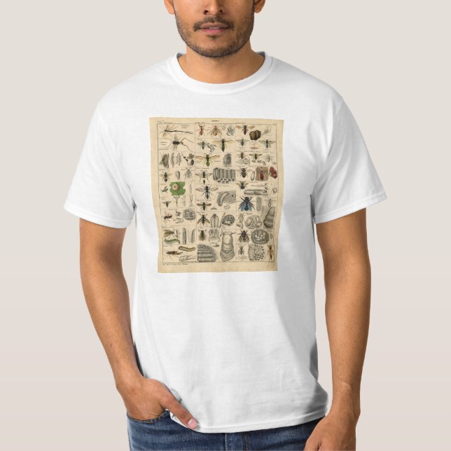 Camiseta T-shirt da taxonomia da entomologia dos insetos do (Frente)