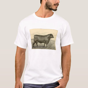 Camiseta T-shirt de Aberdeen Angus