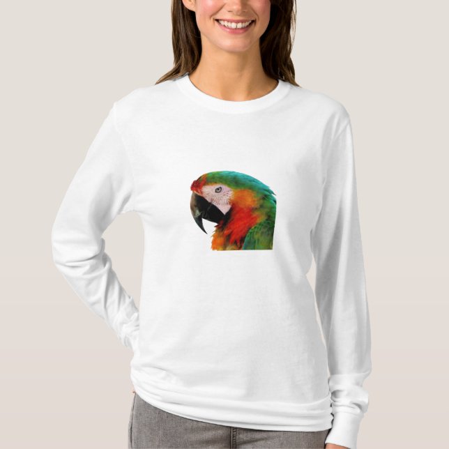 Camiseta T-Shirt de Capa Longa (Frente)