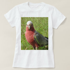 Camiseta T-shirt de Galah